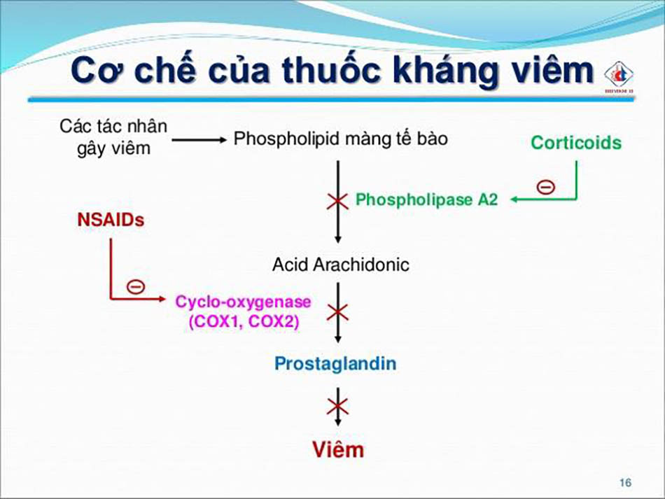 Thuốc corticosteroid trị bệnh gì Methode Physiodermie