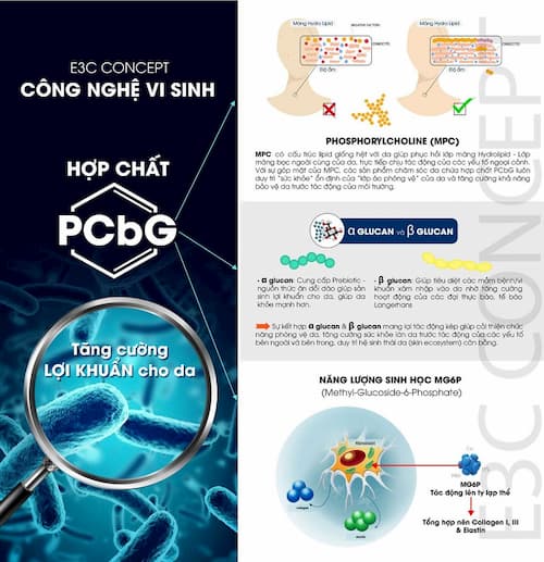 Thực hư sữa chua tăng cường hệ miễn dịch nhờ Probiotics? 3 E3C CONCEPT