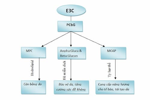 Sơ đồ tổng quát về E3C Concept với hợp chất tiên phong PCbG