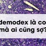 Ve Demodex - Anh bia