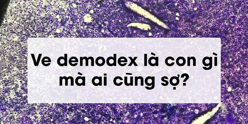 Ve Demodex - Anh bia