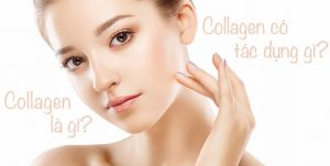 boi-collagen-co-tac-dung-gi-trong-lam-lanh-vet-thuong-va-lien-seo