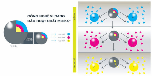 Dược mỹ phẩm là gì? Các công nghệ ứng dụng trong dược mỹ phẩm Thụy Sĩ 4 Các hoạt chất được sắp xếp thành các lớp riêng biệt thẩm thấu tương thích với lớp da