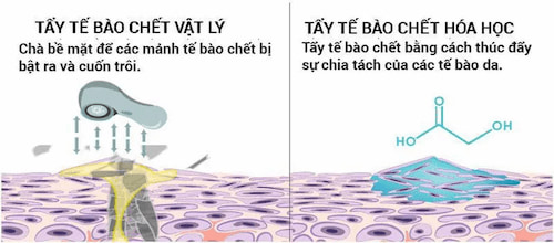 Dùng dược mỹ phẩm tẩy tế bào chết. Nên hay không? 2 Phân biệt các loại kem tẩy tbc cho mặt