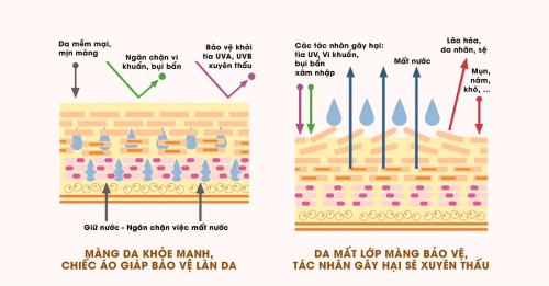 Khôi phục hàng rào bảo vệ da với Lipid Restore Mask 1 Lớp màng hydro-lipid