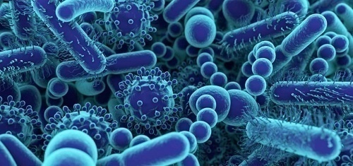 Microbiome trong cơ thể con người