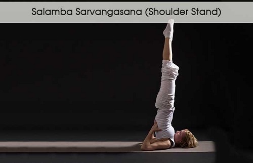 5 Bài tập yoga cực hay giúp bạn thoát khỏi bọng mắt to 5 Tư thế đứng trên vai - Salamba Sarvangasana