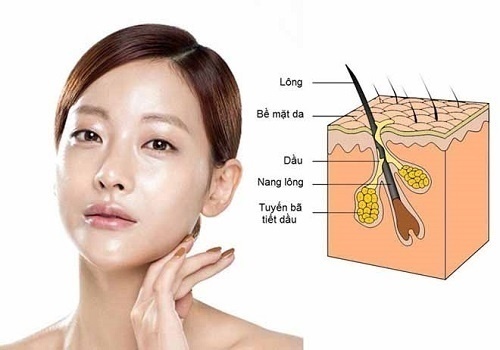 Mụn đầu đen và những điều chưa biết! 2 Tất cả các vấn đề về mụn đều xuất phát từ sự mất cân bằng của tuyến bã nhờn trong cơ thể.