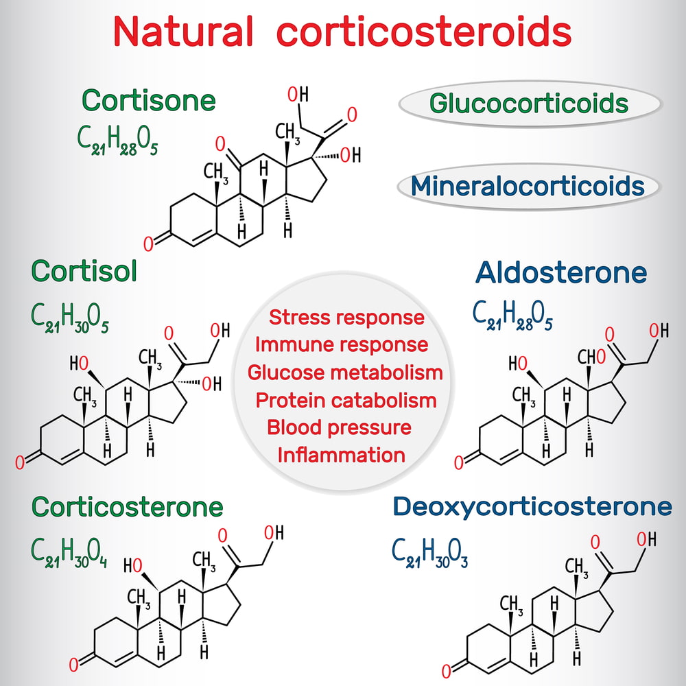Corticoid tên gọi đầy đủ là Glucocorticoid
