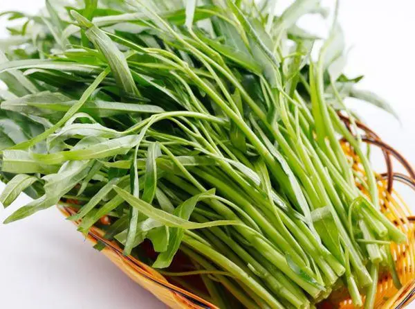 bi tham mun khong nen an gi2 Bị thâm mụn không nên ăn gì?