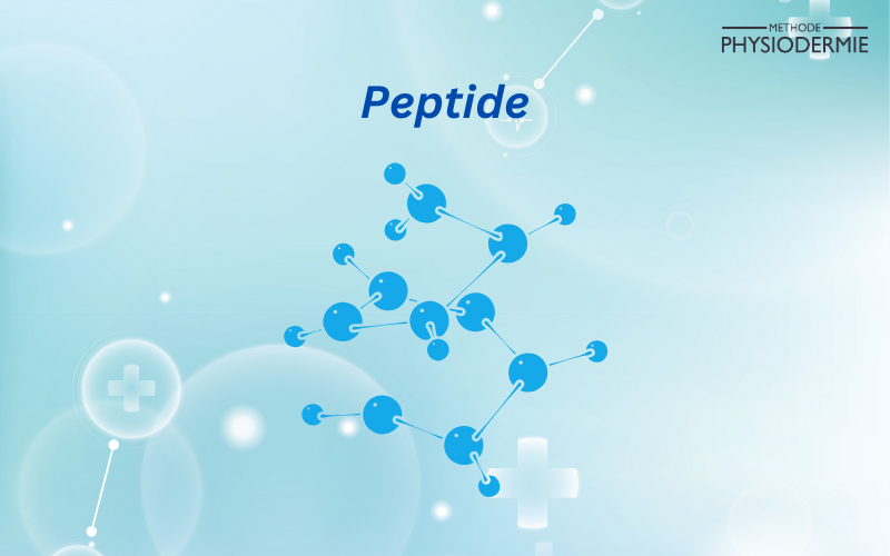 Peptide là hoạt chất hỗ trợ kích thích tăng sinh collagen & elastin, tái tạo tế bào mới hiệu quả