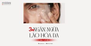 SEO 3 cach ngan ngua lao hoa sau 25 2406