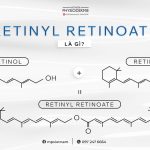 cong thuc cua Retinyl Retinoate