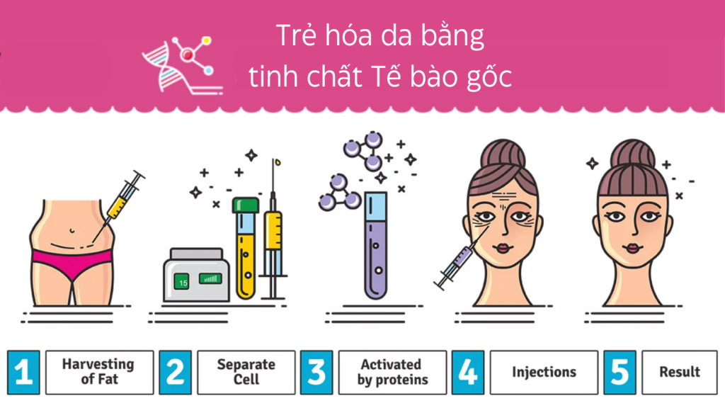 meso lan kim tinh chat te bao goc