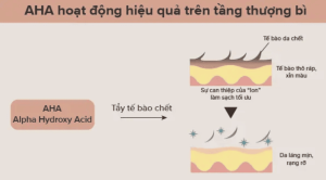 Lactic Acid AHA hoat dong o tang thuong bi de loai bo te bao chet