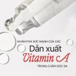 SEO Dan xuat Vitamin A 2211