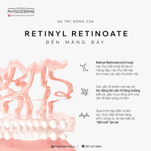 retinyl retinoate tac dong den mang day dej kich thich tang sinh te bao