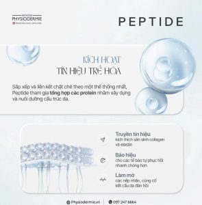 Thanh phan ket hop voi Retinyl Retinoate gia tang hieu qua cai thien cau truc da do la Peptide