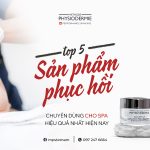 SEO SP Phuc hoi 1306