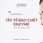 SEO Tay te bao chet 1411