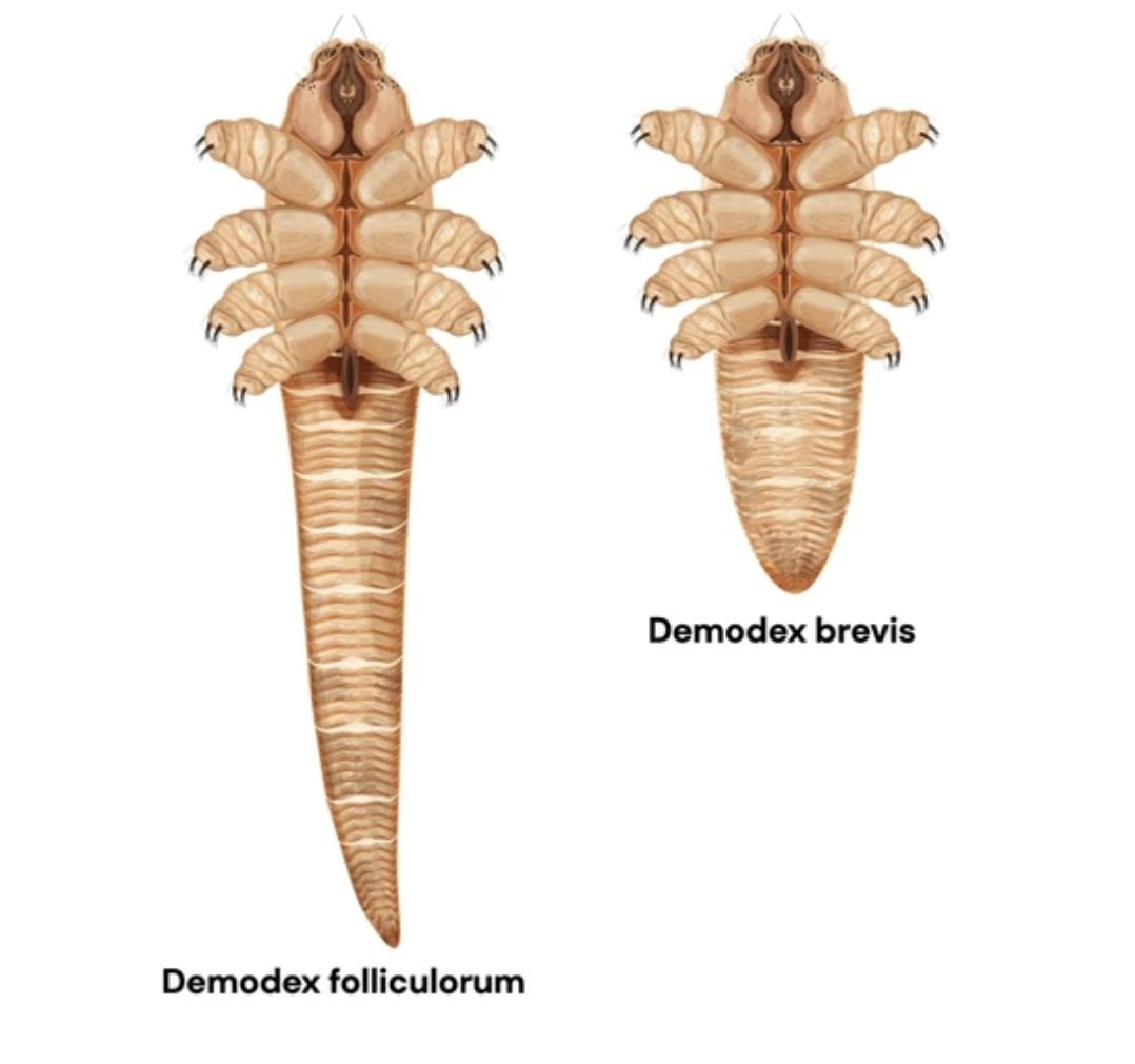 Screenshot 2026 04 22 at 00.01.15 Screenshot 2026 04 22 at 00.01.15