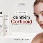 SEO Corticoid 1906