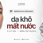 SEO Serum HA 1707