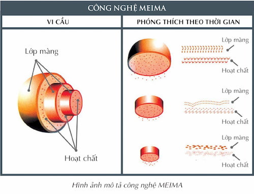 cong nghe meima cong nghe meima