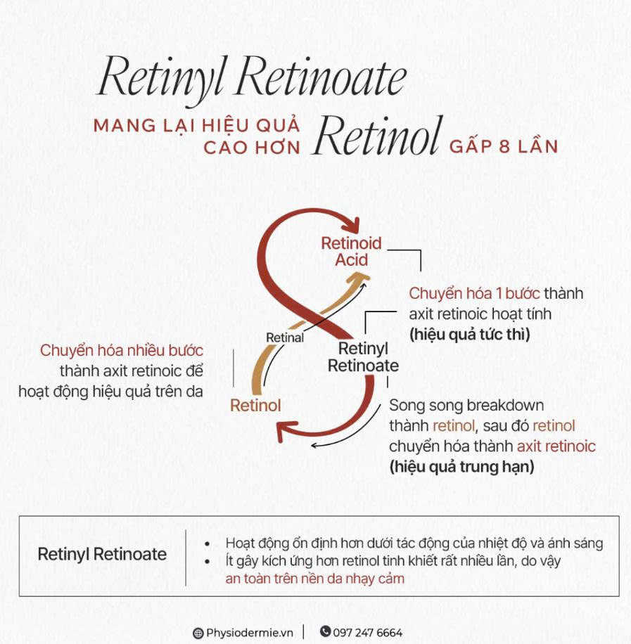 retinyl retinoate mang den hieu qua sinh hoc cao hon retinol gap 8 lan retinyl retinoate mang den hieu qua sinh hoc cao hon retinol gap 8 lan