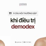 SEO Demodex 0708