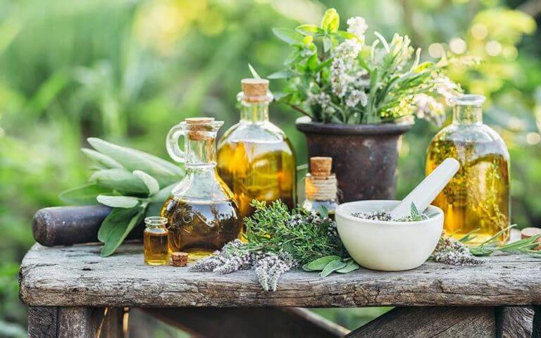 dau goi nguon goc thien nhien giảm rụng tóc bằng nguyên liệu thiên nhiên