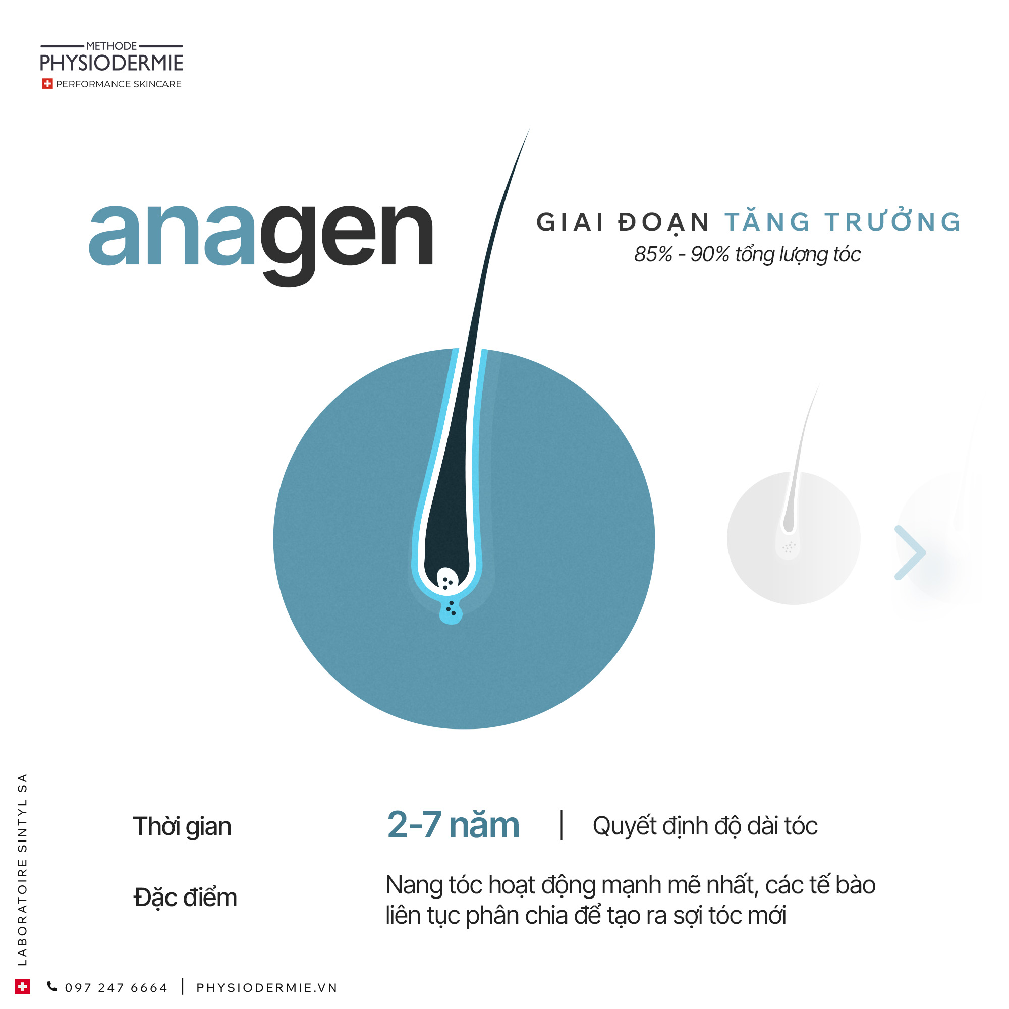 01 (5) giai đoạn Anagen (tăng trưởng) của tóc