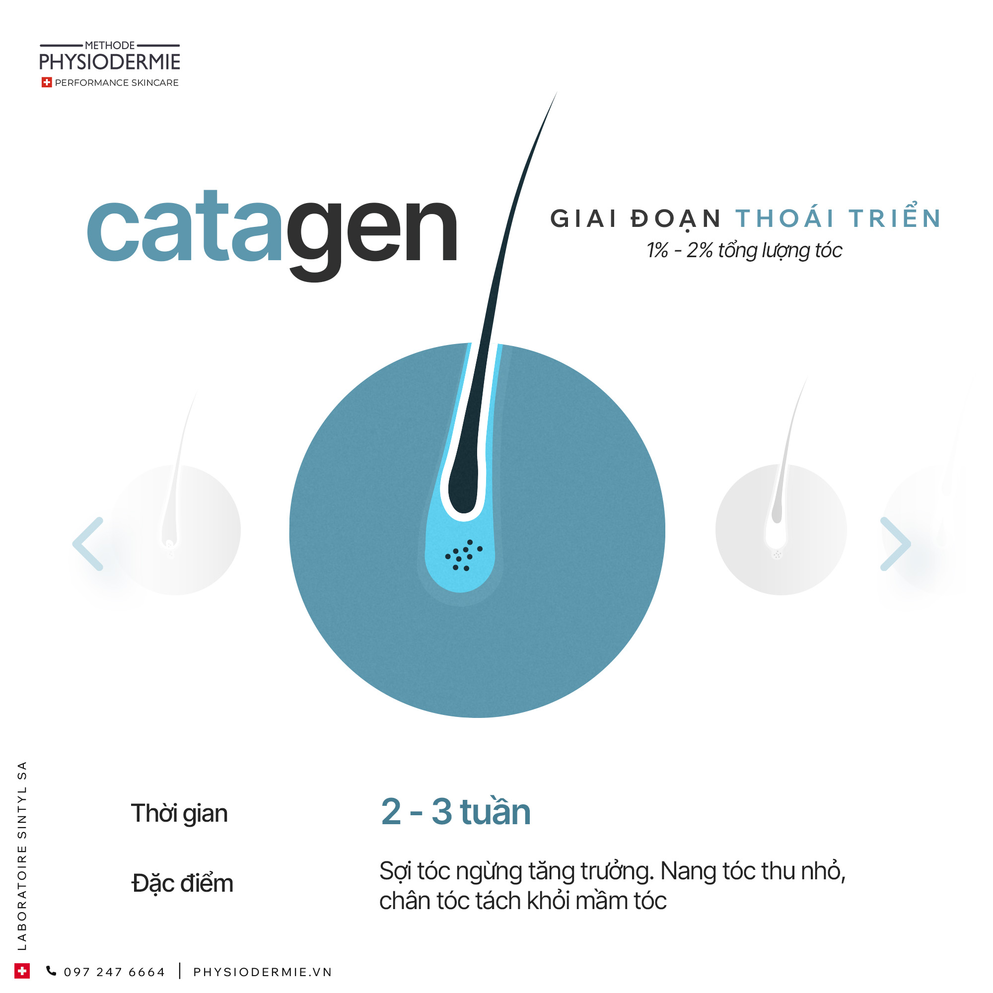 02 (5) giai đoạn thoái triển (catagen) của tóc