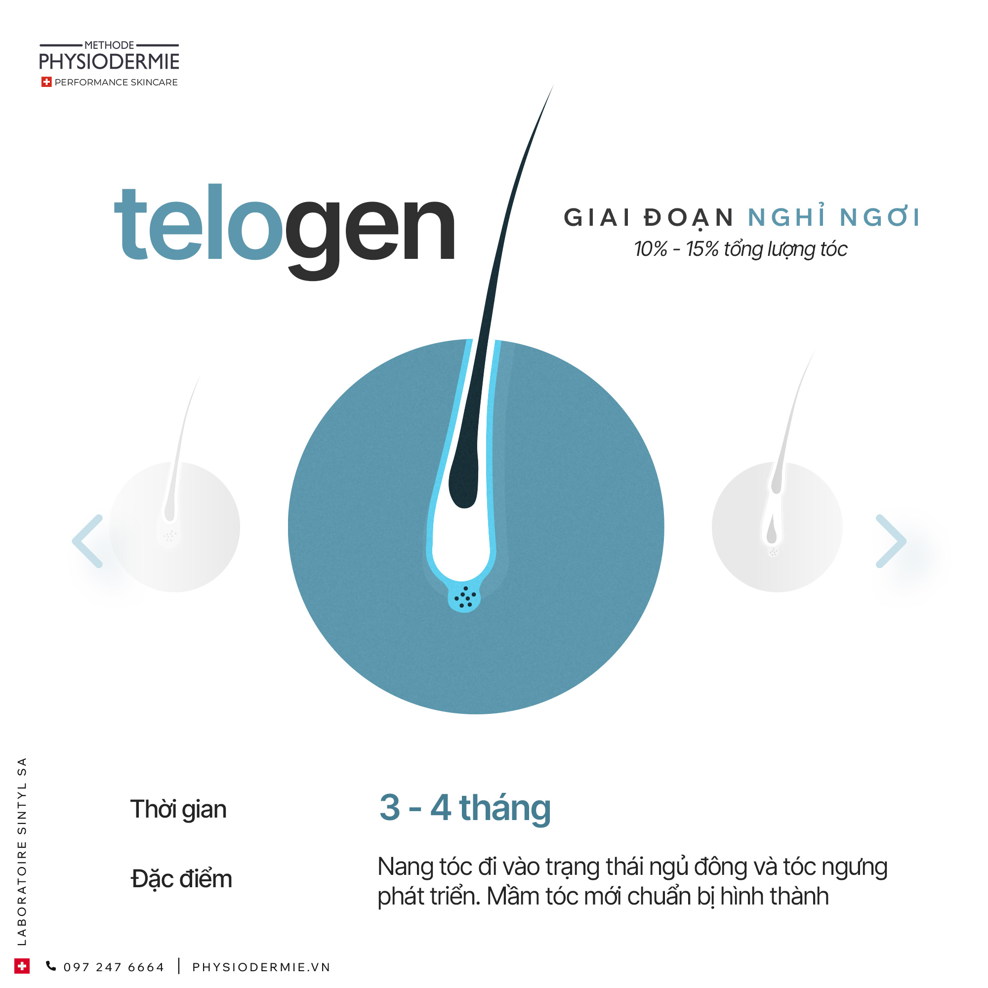 03 (4) giai đoạn nghỉ ngơi (telogen) của tóc