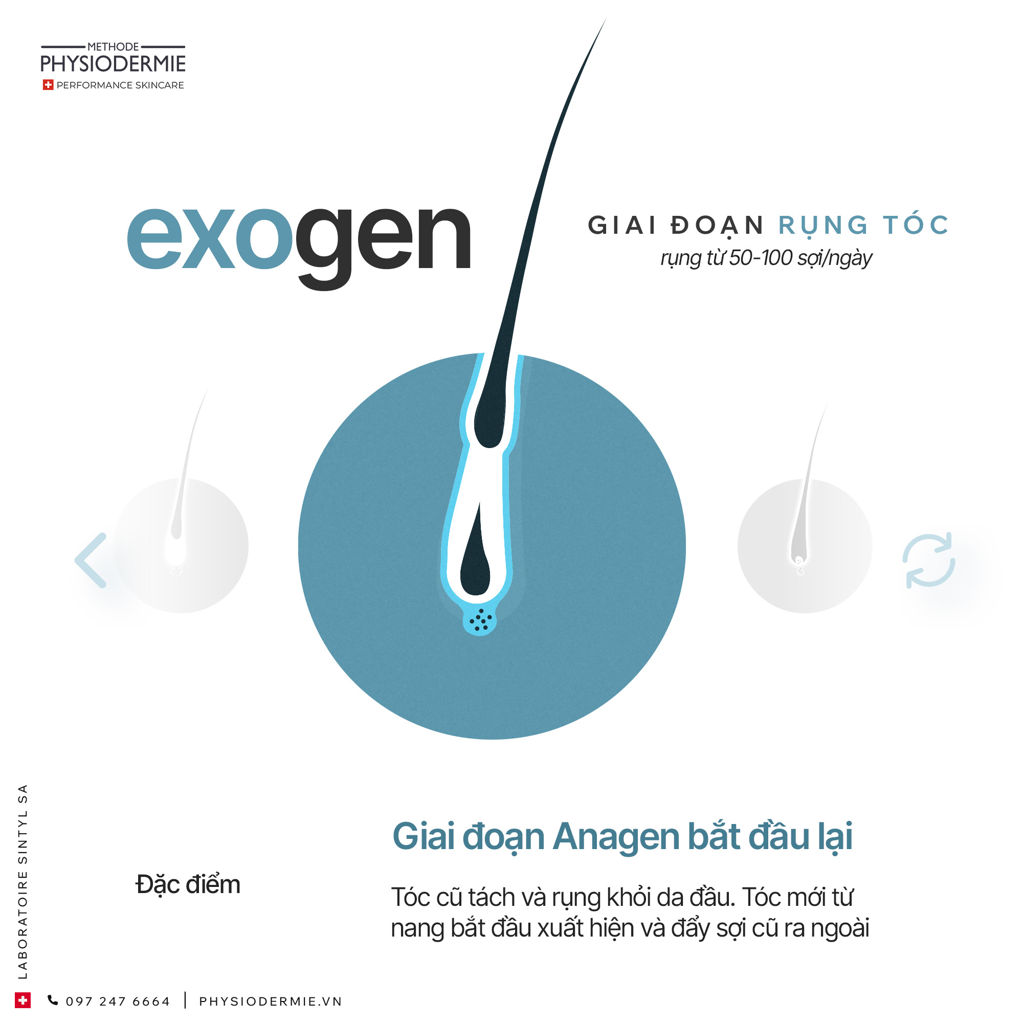 04 (4) giai đoạn rụng tóc (exogen) của tóc