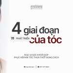 SEO Toc 2509